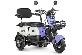 картинка Электротрицикл Rutrike Gelbert Vega 48V/60V 600Вт магазин Eltreco являющийся официальным дистрибьютором в России 