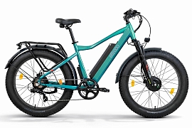 картинка Электровелосипед Eltreco BigCat Dual Next PRO магазин Eltreco являющийся официальным дистрибьютором в России 