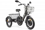 картинка Трицикл GREEN CITY e-ALFA Trike магазин Eltreco являющийся официальным дистрибьютором в России 