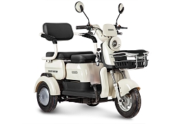 картинка Электротрицикл Rutrike Gelbert Mercury 48V/60V 650Вт магазин Eltreco являющийся официальным дистрибьютором в России 