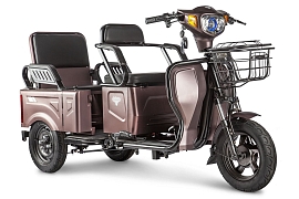 картинка Трицикл Rutrike Вагон магазин Eltreco являющийся официальным дистрибьютором в России 