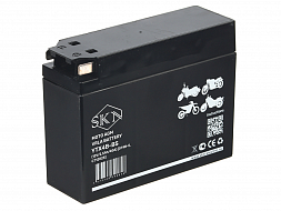 картинка Аккумулятор стартерный для мототехники SKN YTX4B-BS (12V/2,5Ah/40A) [GT4B-5, CT 12025] магазин Eltreco являющийся официальным дистрибьютором в России 