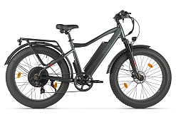 Eltreco Big Cat Next