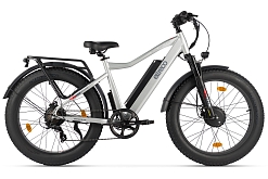 Eltreco Big Cat Dual Next